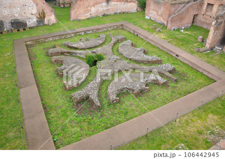 Archaeological excavation in the Roman Forum, Rome 106442945