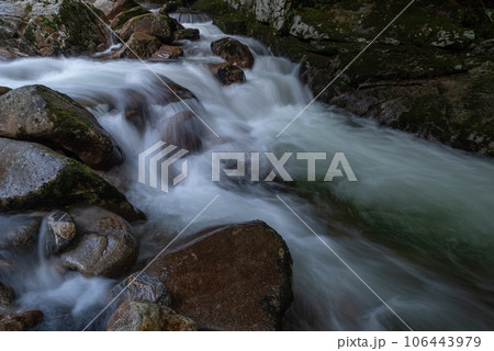 新緑の中を流れる川　小戸名渓谷 106443979