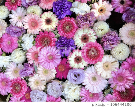 ピンクの花手水 106444100