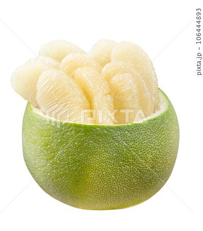 ユズ 柚 文旦 106444893