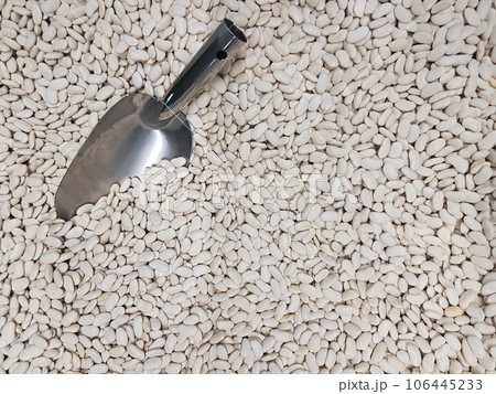 Organic white kidney bean background Organic white kidney bean background 106445233