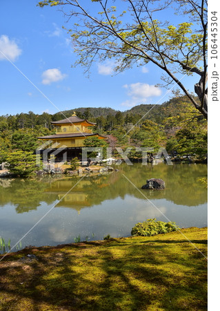 日本の春の京都 世界遺産の金閣寺 金色に輝く舎利殿 新緑と鏡湖池が美しい鹿苑寺庭園 日本の春の京都 世界遺産の金閣寺 金色に輝く舎利殿 新緑と鏡湖池が美しい鹿苑寺庭園 106445304