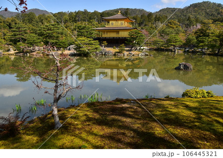 日本の春の京都 世界遺産の金閣寺 金色に輝く舎利殿 新緑と鏡湖池が美しい鹿苑寺庭園 日本の春の京都 世界遺産の金閣寺 金色に輝く舎利殿 新緑と鏡湖池が美しい鹿苑寺庭園 106445321