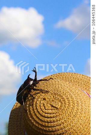 青空に白い雲が浮かぶ空の下で麦わら帽子に登るカブトムシの風景 青空に白い雲が浮かぶ空の下で麦わら帽子に登るカブトムシの風景 106445368