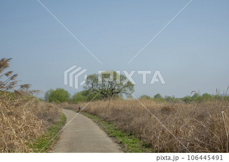Yeongsan River Bicycle Path 106445491