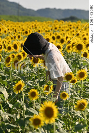 笠岡ベイファームのヒマワリと女性 106445690