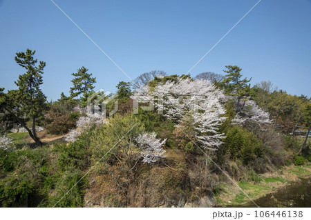Yeongsan River Bicycle Path 106446138