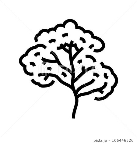 balsa jungle amazon line icon vector illustration balsa jungle amazon line icon vector illustration 106446326