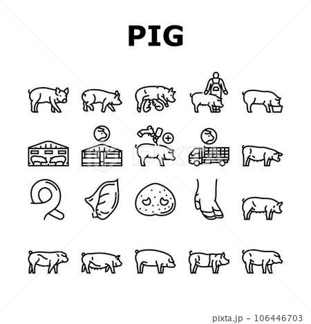 pork pig farm animal piglet hog icons set vectorのイラスト素材 [106446703] - PIXTA