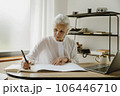 Stylish gray haired mature business woman sitting at desk with laptop and making notes on notebook. 106446710