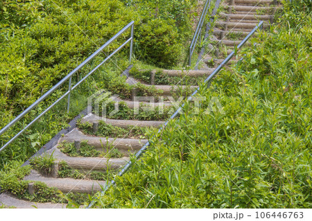 公園の階段 106446763