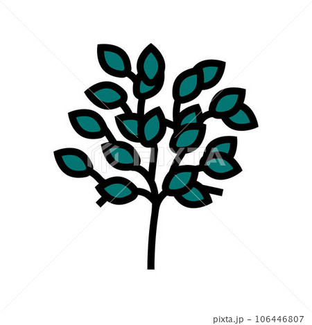 sakaki tree branch shintoism color icon vector illustration 106446807