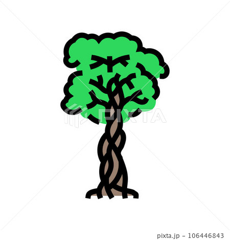 strangler fig jungle amazon color icon vector illustration 106446843