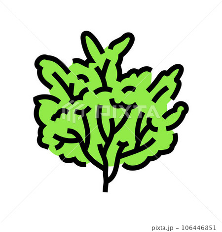 custard apple jungle amazon color icon vector illustration 106446851