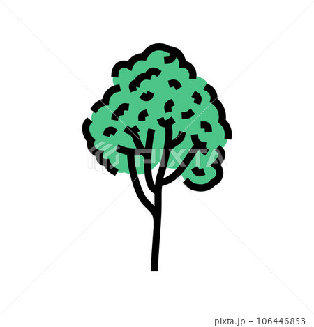 rubber tree jungle amazon color icon vector illustration 106446853