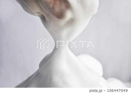 濃密泡・フォーム画像 106447049