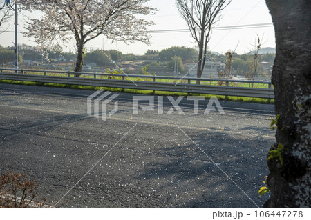 Yeongsan River bicycle path 106447278