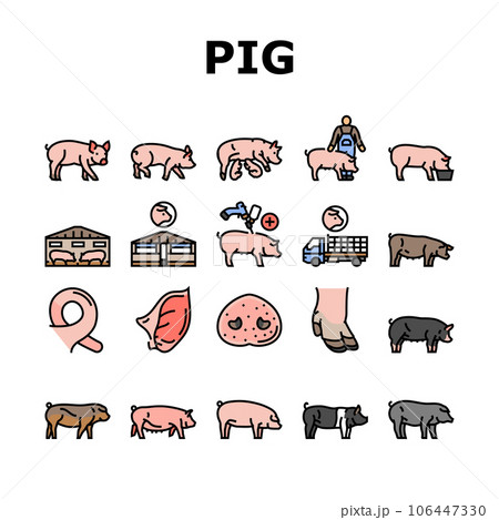 pork pig farm animal piglet hog icons set vector pork pig farm animal piglet hog icons set vector 106447330