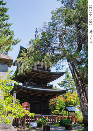 信濃国分寺　重文三重塔 106448239
