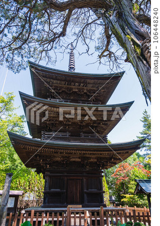 信濃国分寺 重文三重塔 信濃国分寺 重文三重塔 106448240