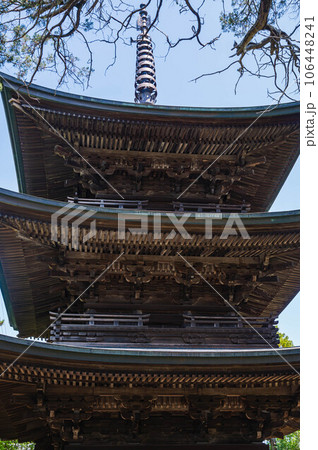 信濃国分寺 重文三重塔 信濃国分寺 重文三重塔 106448241