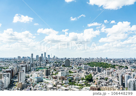 【東京都】真夏の青空と大都市の住宅街 106448299