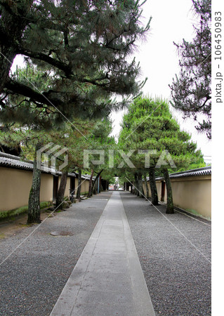 大徳寺境内より大徳寺南門を望む 106450983