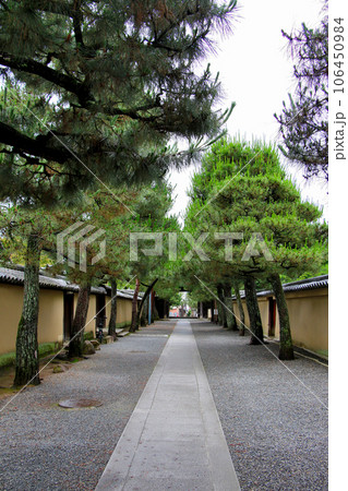 大徳寺境内より大徳寺南門を望む 106450984