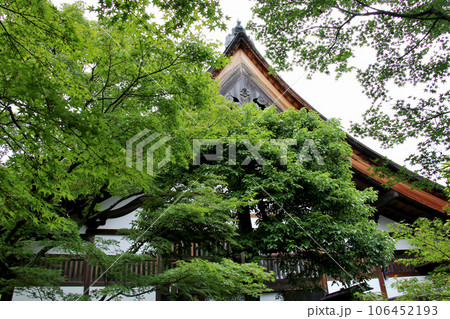 大徳寺 塔頭 黄梅院 106452193