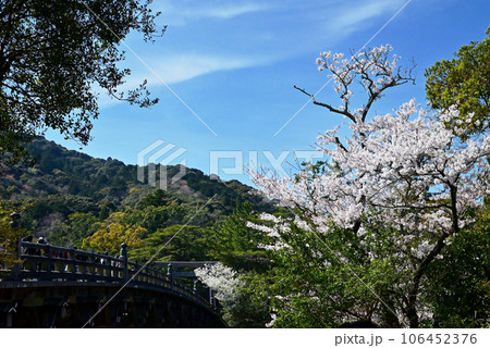 春の伊勢神宮 桜咲く宇治橋の風景 春爛漫の内宮の風景 桜と鳥居と宇治橋 春の伊勢神宮 桜咲く宇治橋の風景 春爛漫の内宮の風景 桜と鳥居と宇治橋 106452376