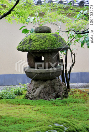 大徳寺 塔頭 黄梅院　苔むした石灯籠 106452378