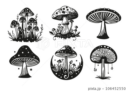 Magic mushroom and moon fairy silhouette set. Mushrooms with stars celestial vector collection Magic mushroom and moon fairy silhouette set. Mushrooms with stars celestial vector collection 106452550