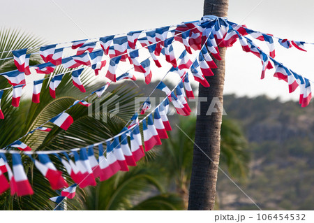 French flag bunting for Bastille day French flag bunting for Bastille day 106454532