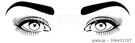 Pretty woman eyes with curvy eyebrows and long eyelashes Pretty woman eyes with curvy eyebrows and long eyelashes 106455707