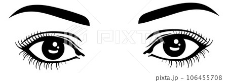 Female eyes and eyebrows. Natural beauty look drawing Female eyes and eyebrows. Natural beauty look drawing 106455708