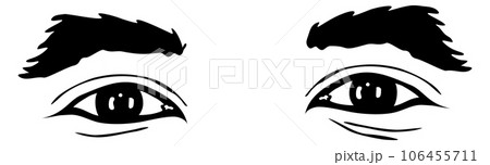 Human eyes pair. Man face brows drawing 106455711
