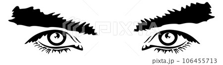 Male look sketch. Hand drawn human eyes and eyebrows 106455713