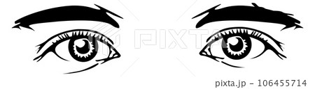 Human eyes and eyebrows. Hand drawn person look Human eyes and eyebrows. Hand drawn person look 106455714