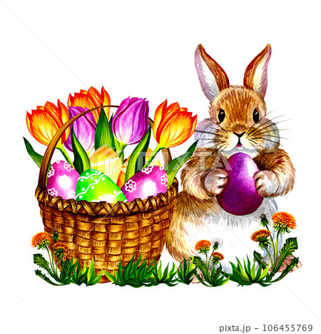 Easter composition banner with rabbit, basket and flowers. On a pink background. Watercolor illustration. Easter composition banner with rabbit, basket and flowers. On a pink background. Watercolor illustration. 106455769