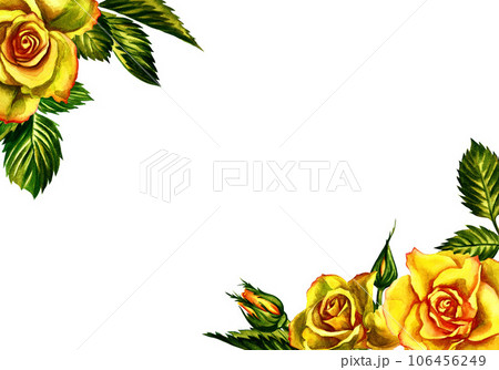 Roses are yellow. Floral frame. Watercolor illustration. For wedding, greeting and invitation cards watercolor design. Roses are yellow. Floral frame. Watercolor illustration. For wedding, greeting and invitation cards watercolor design. 106456249