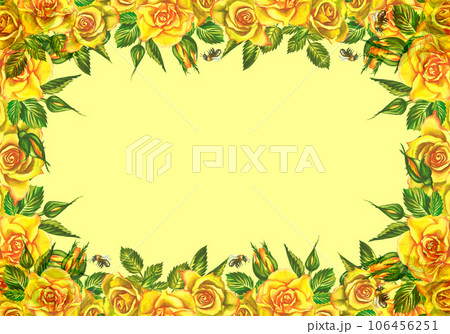Roses are yellow. Floral frame. Watercolor illustration. For wedding, greeting and invitation cards watercolor design. 106456251