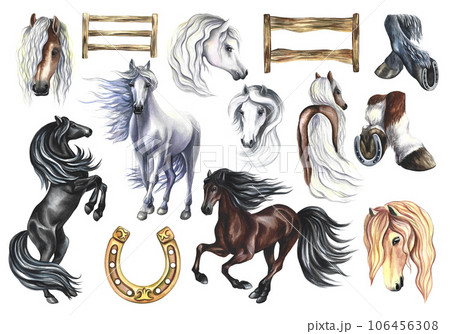 Set with horses. Hand watercolor. Horses isolates, wooden fences and horseshoe. For printing, stickers and labels. Set with horses. Hand watercolor. Horses isolates, wooden fences and horseshoe. For printing, stickers and labels. 106456308