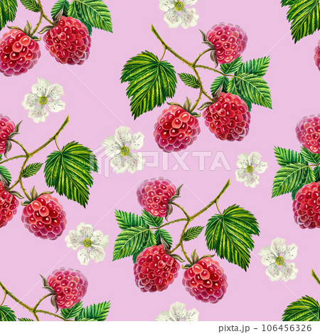 Raspberry. Pattern with crimson branches,...のイラスト素材 [106456326] - PIXTA
