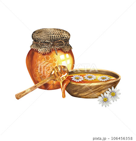 Honey and chamomile. Watercolor illustration. For design solutions, cosmetology, pharmaceuticals and food industry. 106456358
