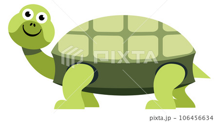 Green turtle. Funny animal. Cartoon reptile icon Green turtle. Funny animal. Cartoon reptile icon 106456634