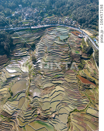 中国元陽の棚田 106457198