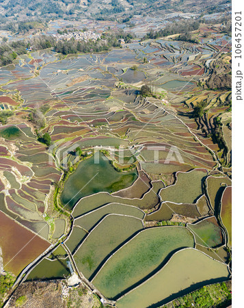中国元陽の棚田 106457201