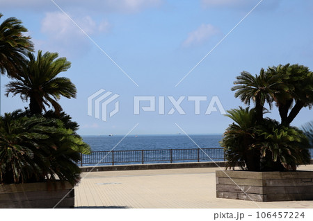 ソテツの植えられたブロック敷きの海岸公園の先に青い海面の海と船と水平線と青空と雲の見える風景 ソテツの植えられたブロック敷きの海岸公園の先に青い海面の海と船と水平線と青空と雲の見える風景 106457224