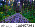新緑に囲まれた羽黒山五重塔 106457261
