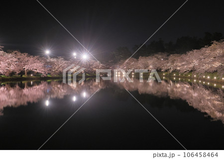 青森県弘前市下白銀町　弘前公園西濠を囲むソメイヨシノの桜並木ライトアップと水面の水鏡 106458464